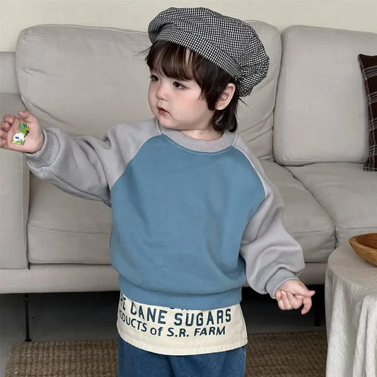 長袖セットアップ blue gray sweatshirt / 9M 73CM ベビートップス/パンツ パッチワーク長袖スウェットトレーナー/ロングルーズパンツ【mh0007966】