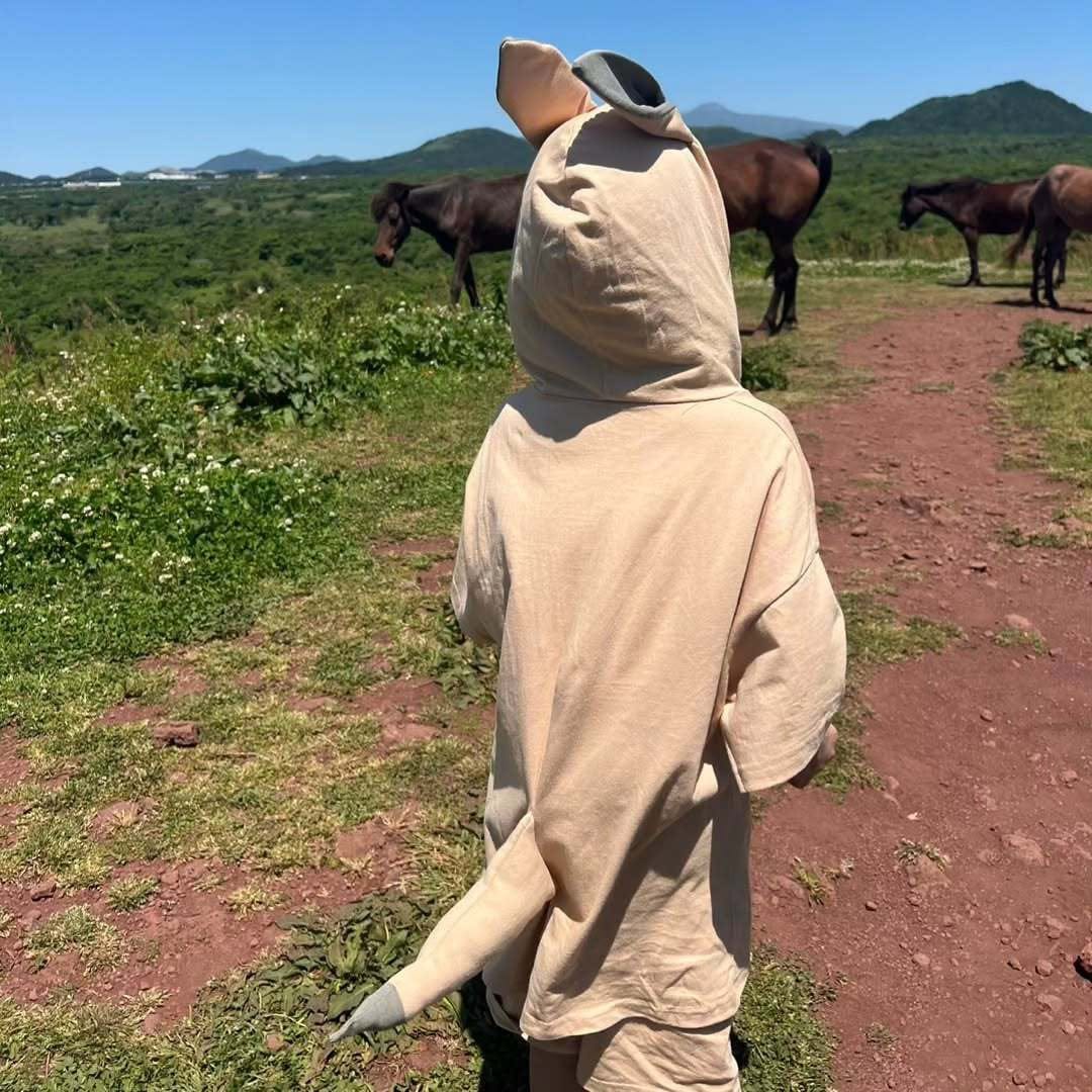 半袖セットアップ ベビーキッズセットアップ 2点セット カンガルーコスチューム耳付きフーディポケット半袖トップス+ショートパンツ【mh0009090】