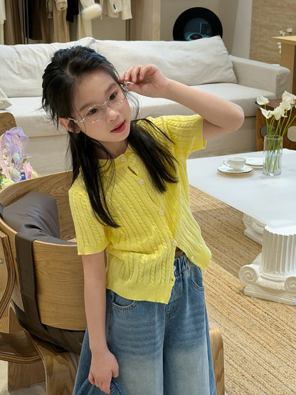 Lapel Knitted Short Sleeve Polo Shirt 襟付き半袖ニットポロシャツ【mh0012102】