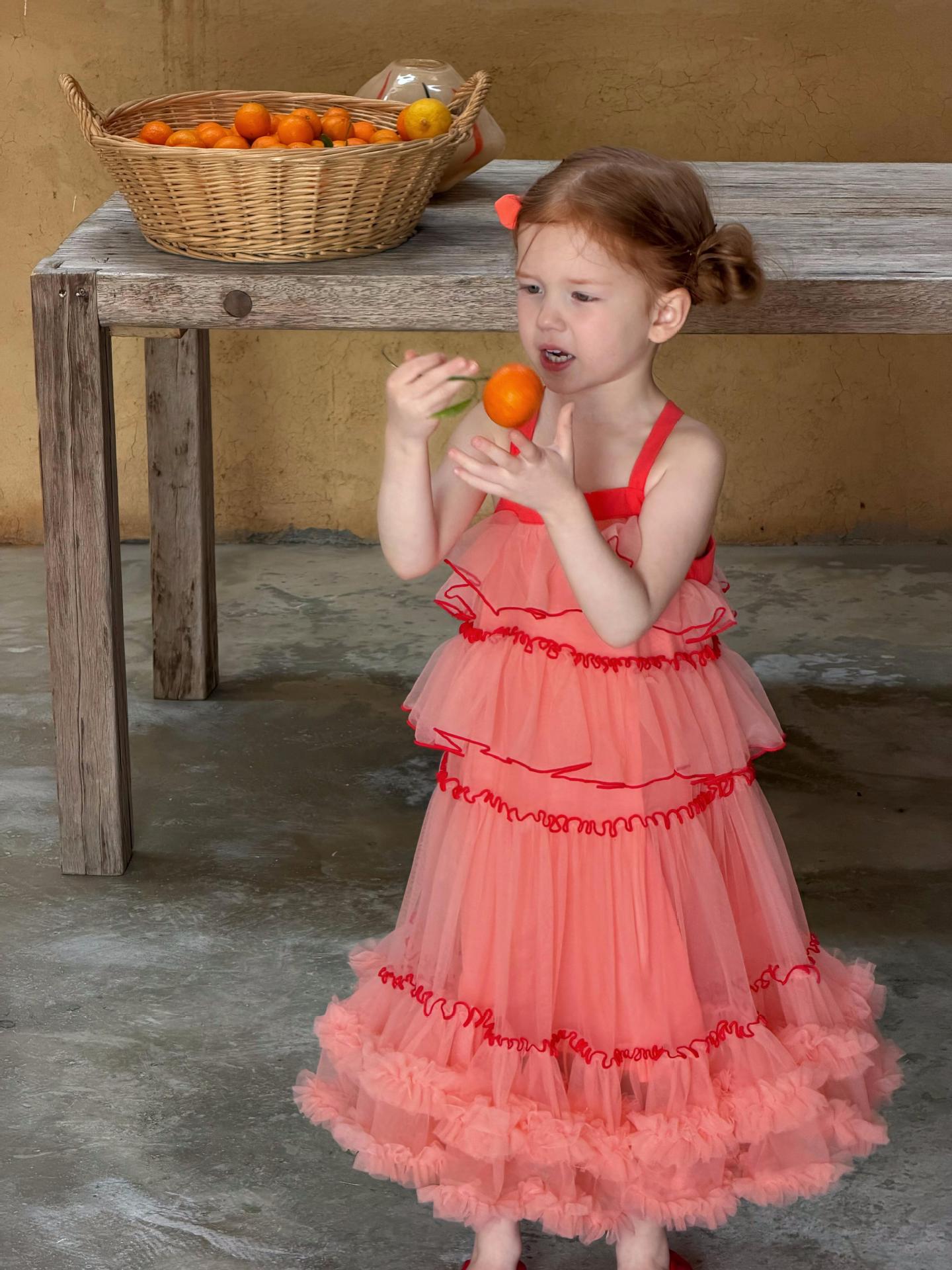 Tiered Tulle Dress ティアード チュールワンピース【mh0013052】
