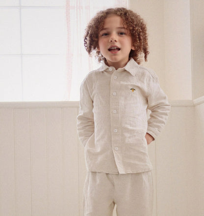 Simple long-sleeved shirt in subtle colors with lemon embroidery. Kids' top. [mh0011561]