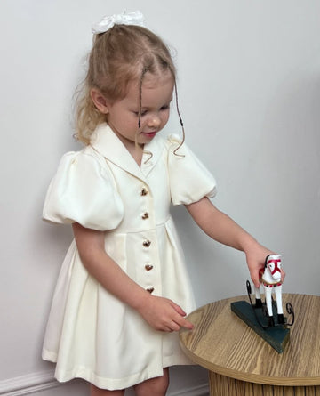 Kids Puff Sleeve Balloon Sleeve Front Button Dress [mh0013867]