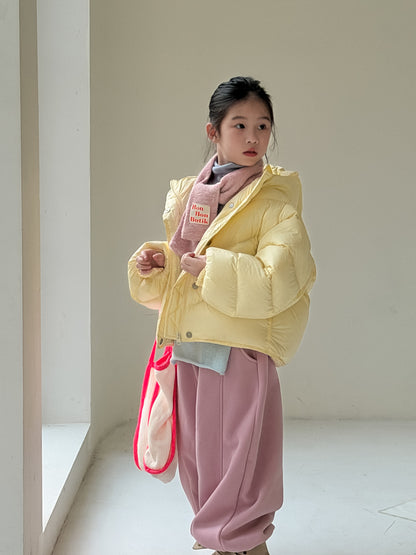 フーディダウンジャケット ボンバージャケット アウター コート【mh0011866】