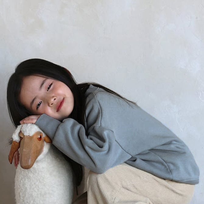 トレーナー・フーディ Blue Gray / 90cm シンプル無地スウェットトレーナー【mh0011116】