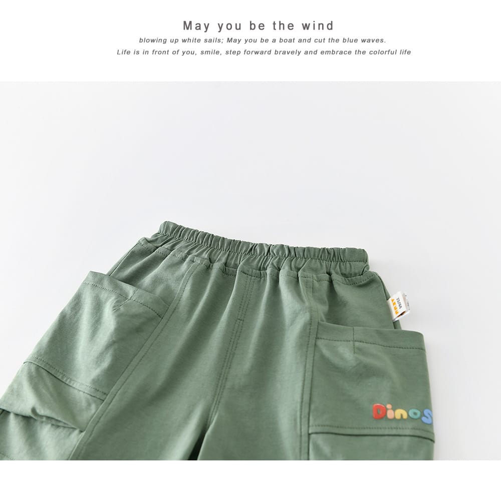 Dinosaur Cartoon Set 恐竜 刺繍 半袖Tシャツ ショートパンツ【mh0012855】 ABNN 半袖セットアップ