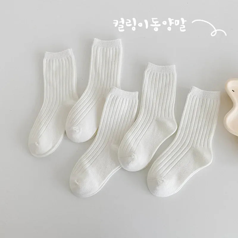 ベビー用靴下・タイツ E / 1-3Y S キッズソックス 靴下5足セット パステル くすみカラー 基本色 無地