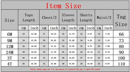 長袖セットアップ ベビーセットアップ 2点セット 長袖パフスリーブブラウス ブルマパンツ レース刺繍【mh0003785】