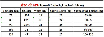 ブルマパンツ ベビーキッズパンツ フリルスカートブルマ パンツインスカート フラワー花柄プリント 3カラー