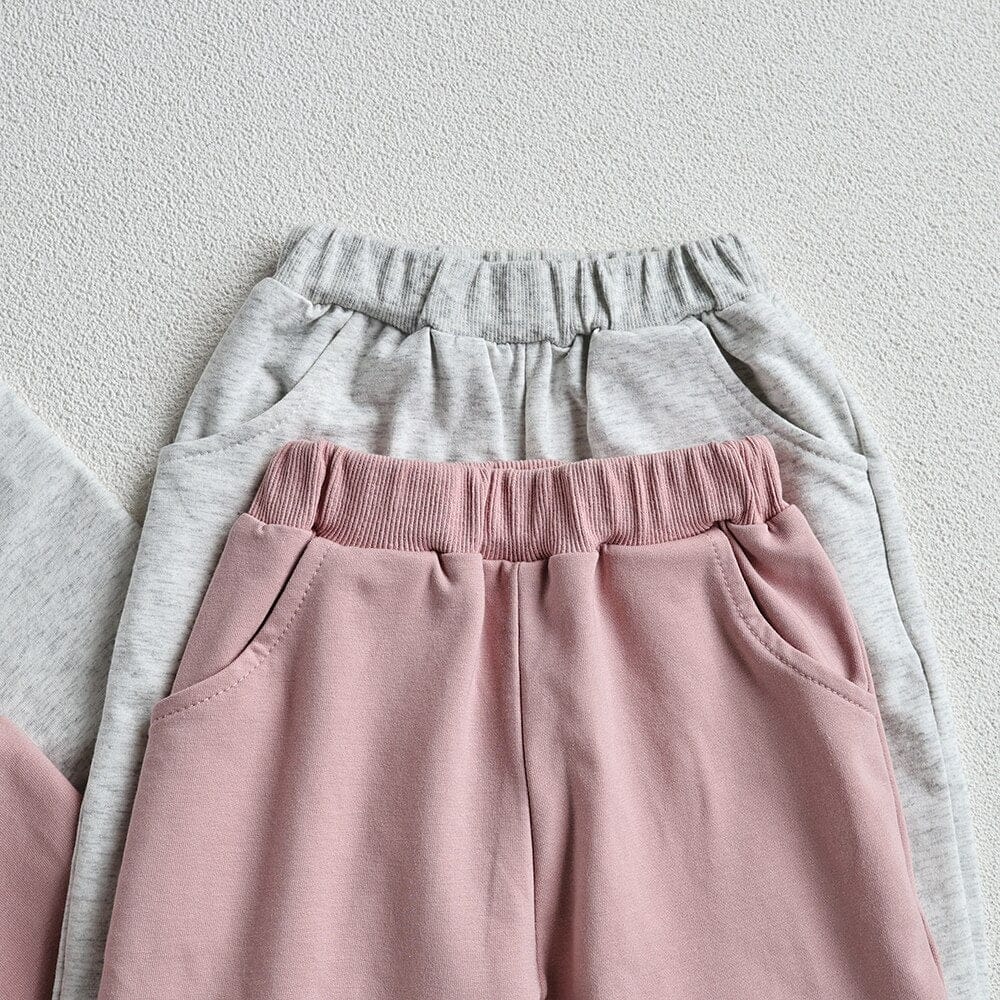 長袖セットアップ ベビー キッズ セットアップ アニマル ワッペン スウェットシャツ パンツ 3カラー ユニセックス