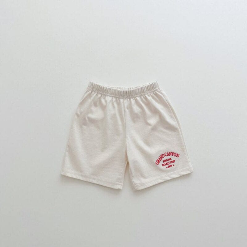 半袖セットアップ キッズ レターロゴ プリント セットアップ 半袖 Tシャツ ショートパンツ ユニセックス 6533C