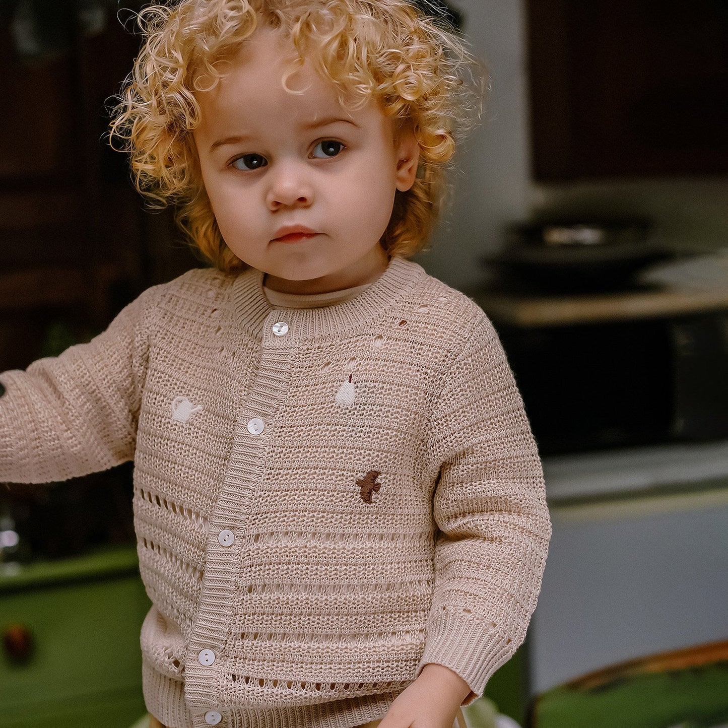 mua qiaqia | Pear Pattern Knitted Cardigan ペア ジャガード 長袖カーディガン【mh0020127】 apricot / 73CM mamahalo shop