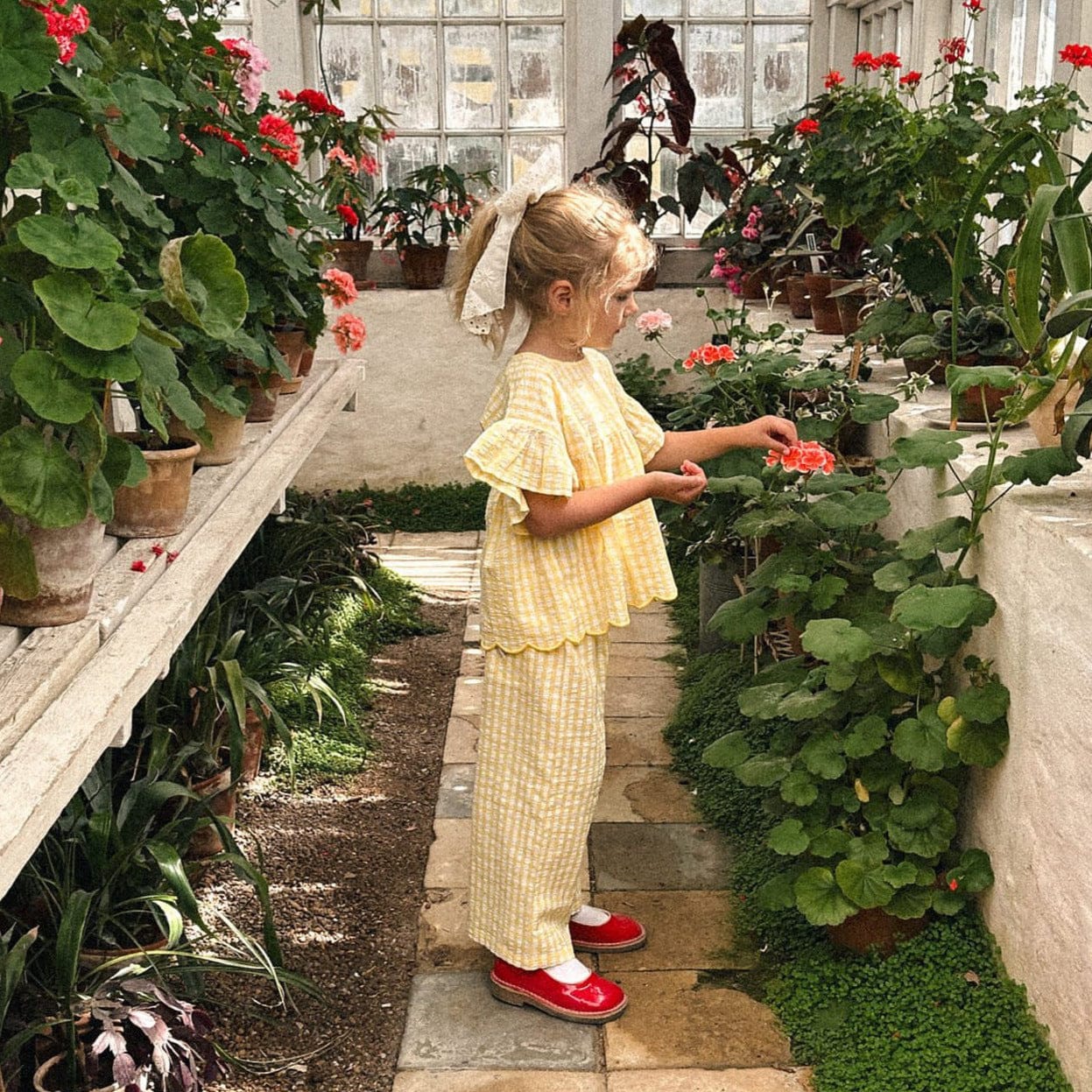 半袖セットアップ ギンガムチェックフリルスリーブブラウス/ワイドルーズパンツ【mh0009419】