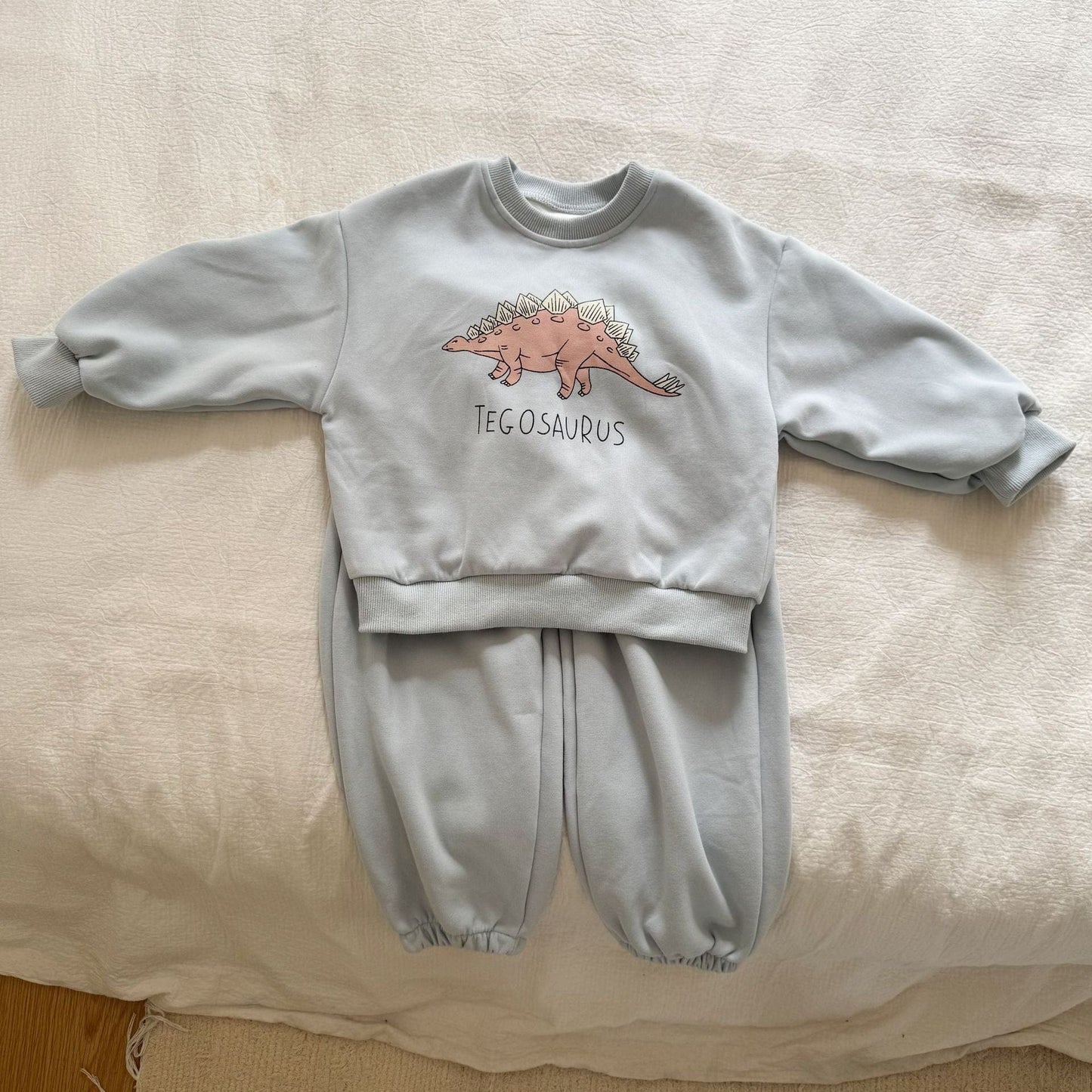 長袖セットアップ Blue / 80cm ダイナソー恐竜プリント長袖スウェットセットアップ 2点セット【mh0010494】