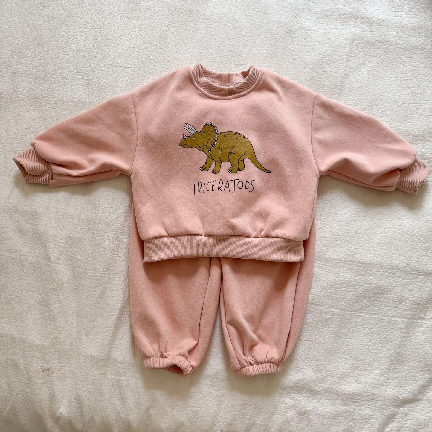 長袖セットアップ Pink / 80cm ダイナソー恐竜プリント長袖スウェットセットアップ 2点セット【mh0010494】